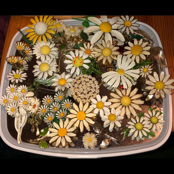 POSH AMBASSADOR, Lisa - Picture 2 of 8